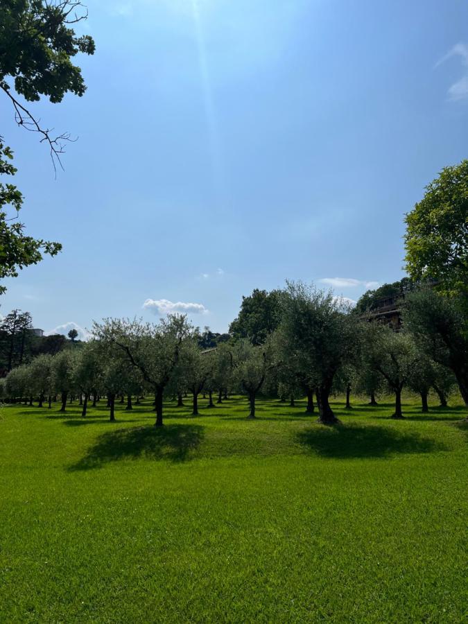 Homely Manerba Manerba del Garda Luaran gambar